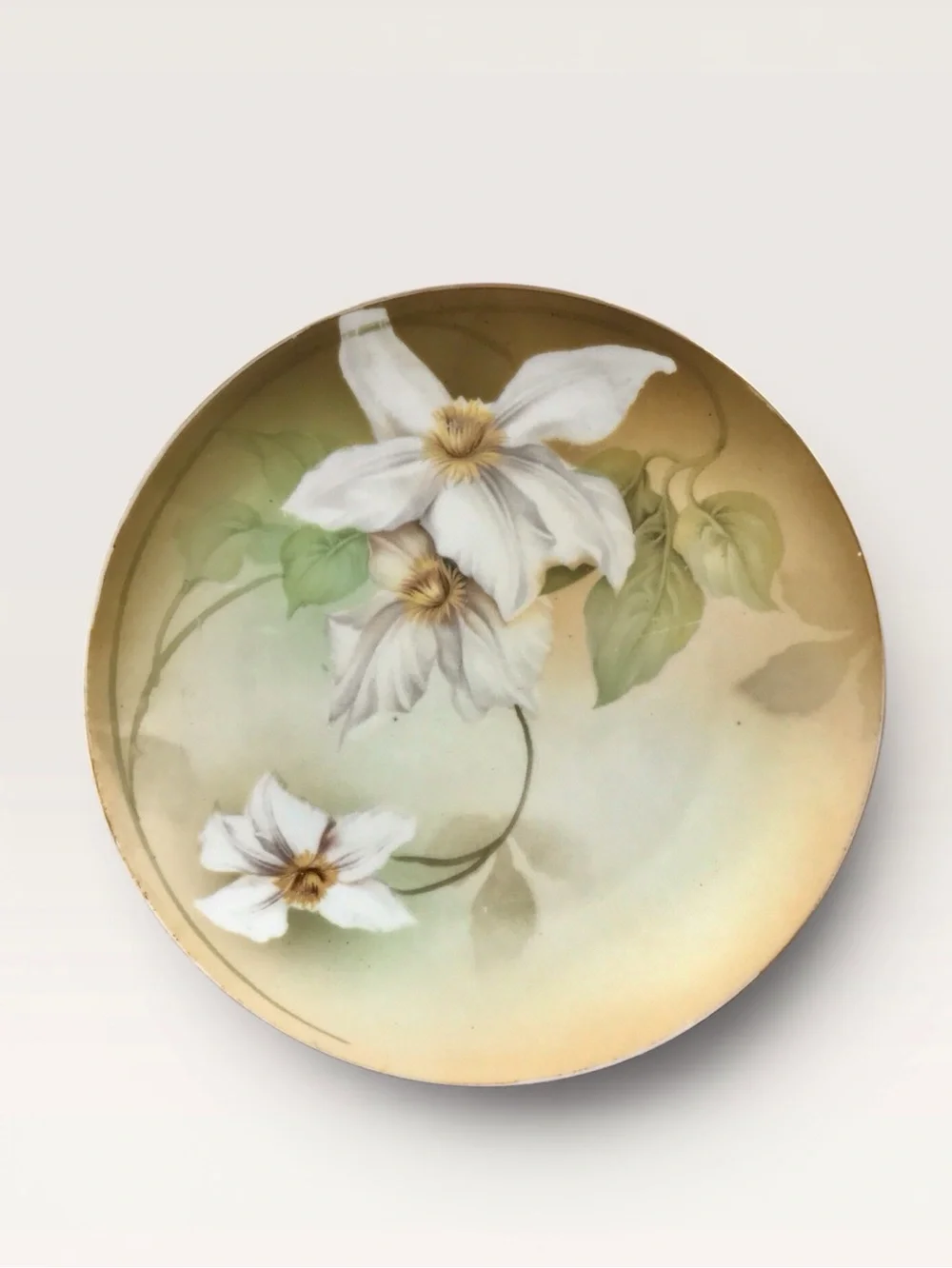 Antique Hand-Painted Floral Lily Yellow White Porcelain Plate RS Germany